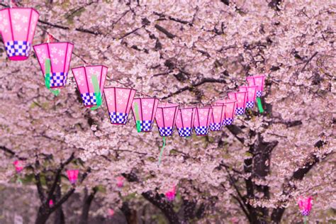 Top 45+ imagen japanese spring festival - abzlocal fi