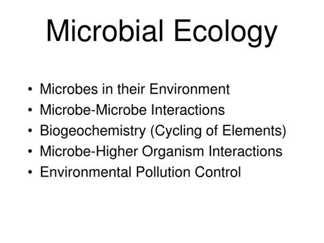 PPT - Microbial Ecology PowerPoint Presentation, free download - ID:792032