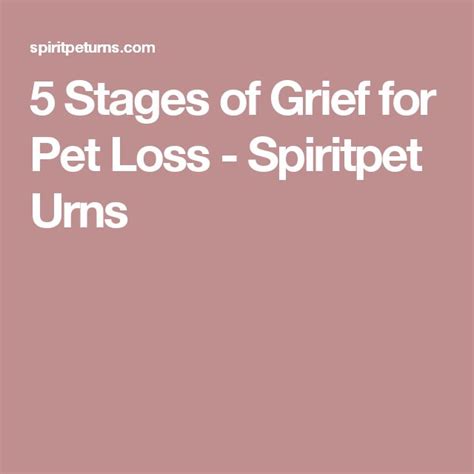 5 Stages of Grief for Pet Loss | Pet loss, Pet grief, Pet loss grief