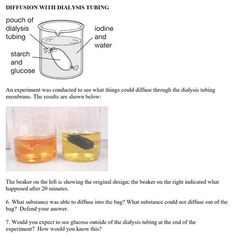 Dialysis Tubing Experiment, 43% OFF | www.micoope.com.gt