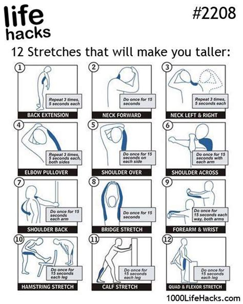 12 stretches that will make you taller | How to grow taller, Grow ...