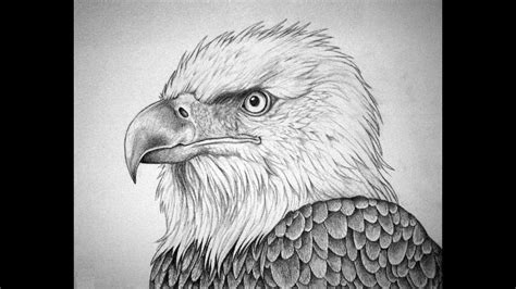 Eagle Pencil Drawing Images - bestpencildrawing