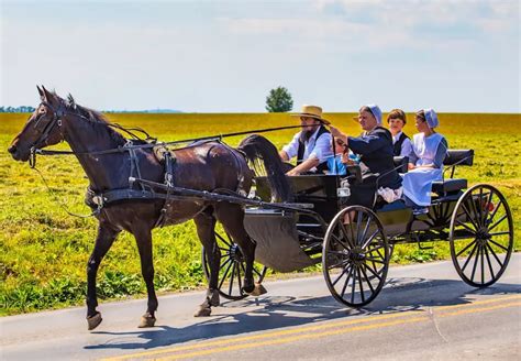 Amish Life Expectancy: Do Amish Live Longer? - Amish Furniture Factory