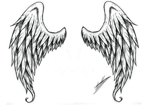 Ailes d'ange | Wings tattoo, Angel wings tattoo, Angel wings tattoo on back