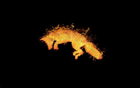 Fire Fox Wallpapers - Fox Wallpaper Pc - 1280x804 Wallpaper - teahub.io