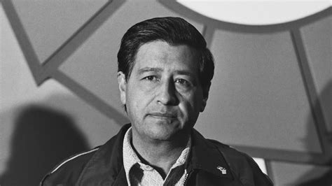 Champion of the Fields: Cesar Chavez's Legacy as Labor Leader and Civil Rights Icon - English ...