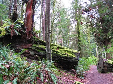 Seward Park's Ecosystem | Seward Park Audubon Center