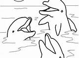 Free & Easy To Print Dolphin Coloring Pages  Tulamama sketch template