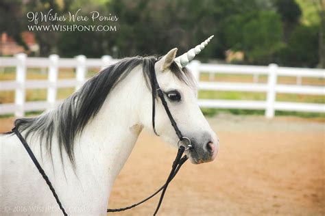 "Starlight" Silver Grey Unicorn Horn for Mini Pony Horse Draft