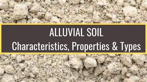 Alluvial Soil: Characteristics, Properties and Types of Alluvial Soil