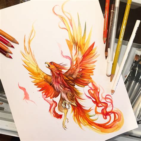 Phoenix tattoo design, Phoenix tattoo, Phoenix drawing