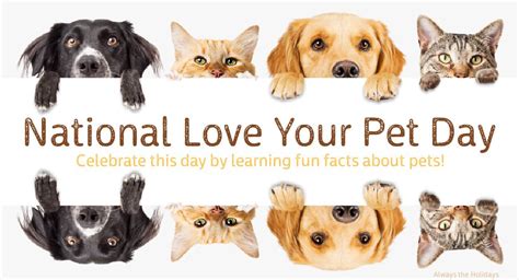 Learn 30+ Fun Facts about Pets for National Love Your Pet Day