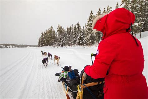 10 Fun Things To Do in Yellowknife, Northwest Territories In Winter ...