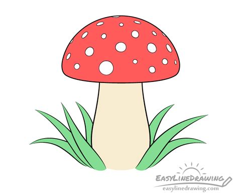 Aggregate more than 153 mushroom images drawing super hot - seven.edu.vn