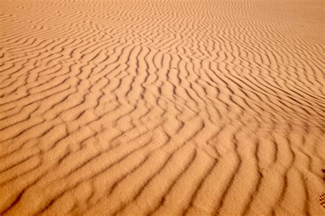 Free Images : landscape, sand, field, desert, pattern, soil, stripes ...