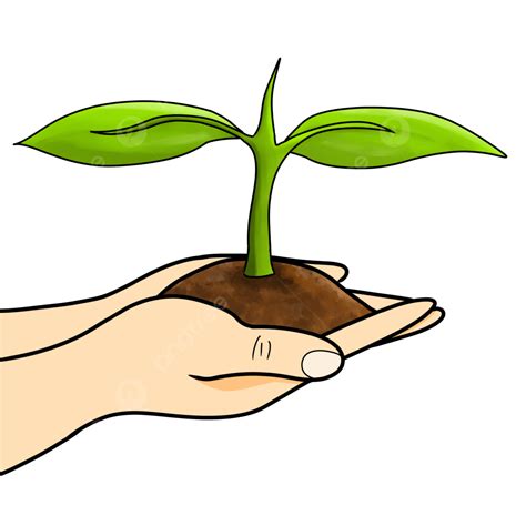 Cartoon Hand Holding A Plant Growing On The Ground, Hand Clipart, Plant Clipart, Cartoon Clipart ...