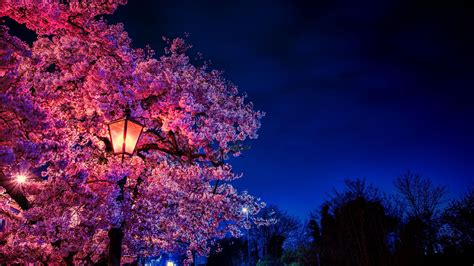 Spring Evening Wallpapers - Wallpaper Cave