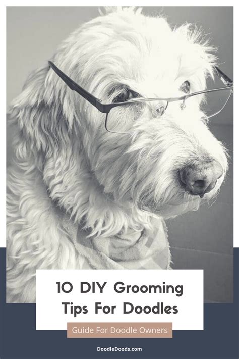 10 diy dog grooming tips for grooming at home – Artofit