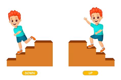 Premium Vector | Example of opposite adjectives word for kids. isolated on white