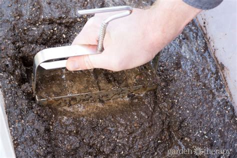 These Easy & Economical Soil Blocks Will Change How You Garden - Garden Therapy