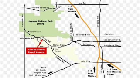 Arizona-Sonora Desert Museum Map Oatman Colonial Williamsburg Historic Area, PNG, 600x461px ...