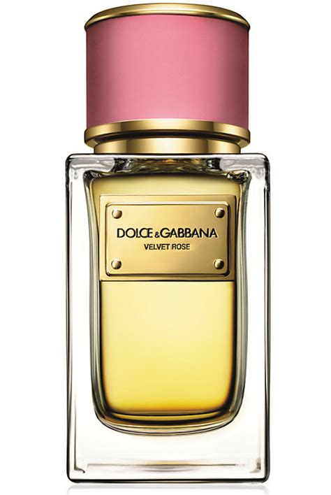 Velvet Rose Dolce&Gabbana perfume - a fragrance for women 2014