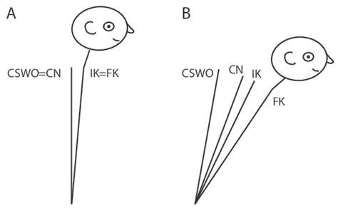 Summary of successive anteflexion occurring during walking in: (A)... | Download Scientific Diagram