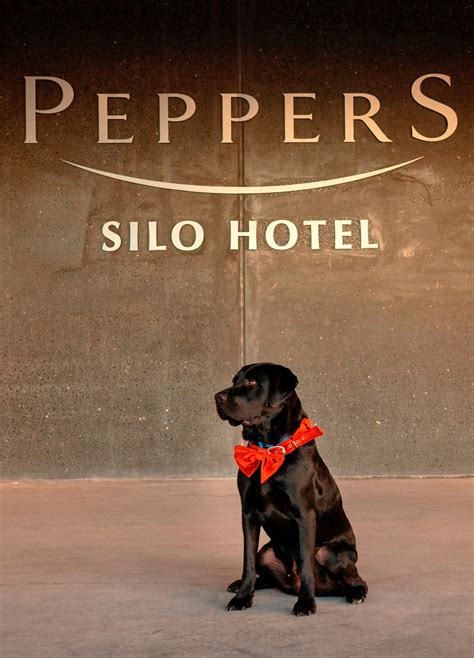 Peppers Silo officially opens in Launceston - Hotel Management