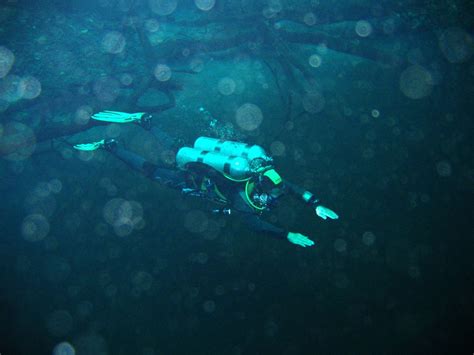 Miracle of Nature: Cenote Angelita - Underwater River in Mexico - YourAmazingPlaces.com