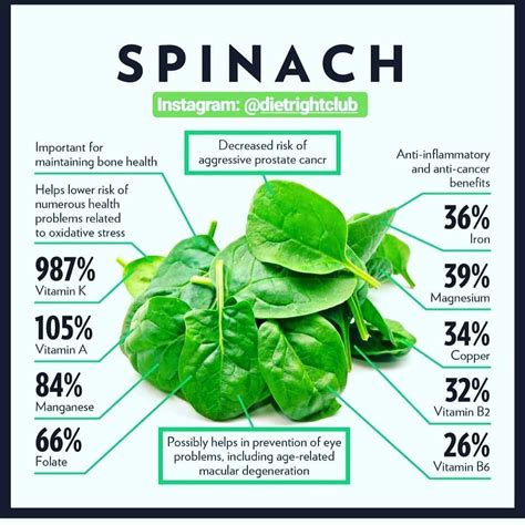 Healthy Spinach Recipes for Stronger Bones