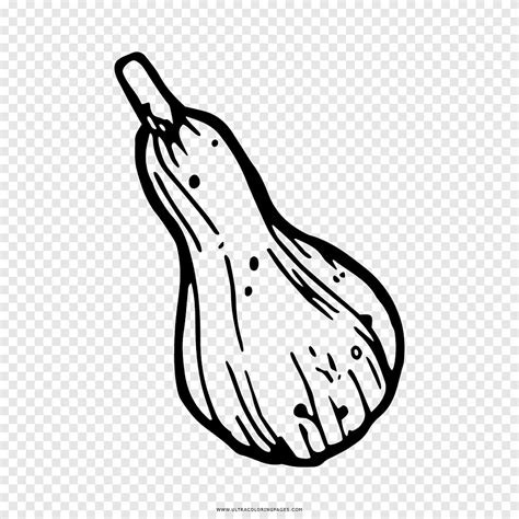 Coloring book Drawing Gourd Line art, pumpkin, white, hand png | PNGEgg