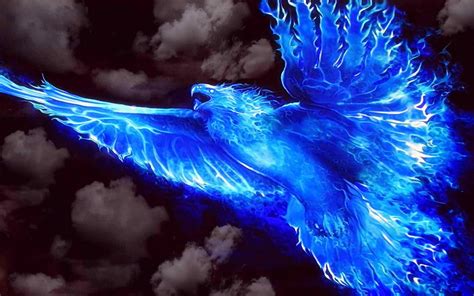 Blue Fire Phoenix Wallpapers - Top Free Blue Fire Phoenix Backgrounds ...