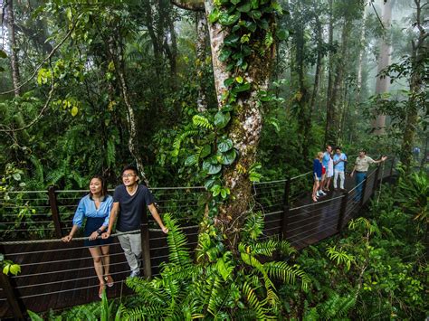 Skyrail Rainforest Cableway - Tour - Queensland