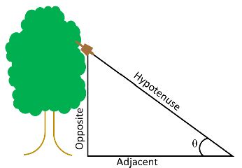 Diagram showing the opposite, adjacent, and hypotenuse sides of the... | Download Scientific Diagram