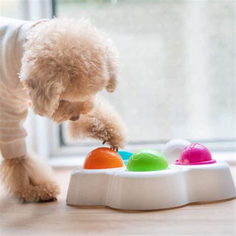 The 15 Best Dog Puzzle Toys | POPSUGAR Pets