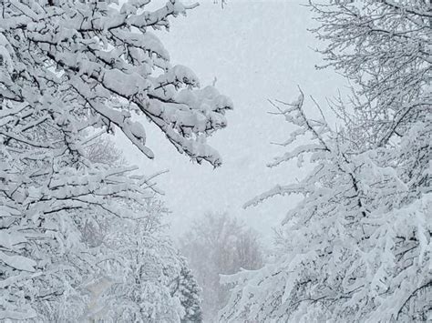 Winter Storm Warning, Snow Emergency issued for 2 Northeast Ohio Counties