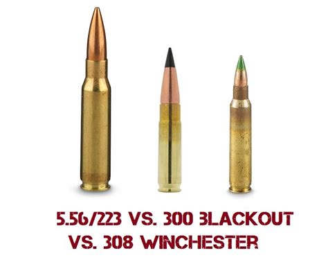 300 Blackout vs. 5.56/.223 vs. 308 Win - 80% Lowers