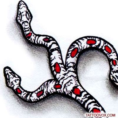 Three Headed Snake tattoo design - TattooVox Professional Tattoo Designs Online