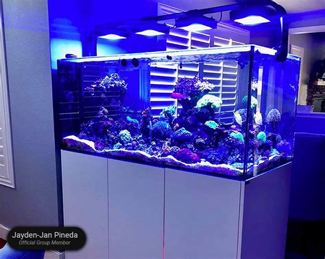 Waterbox Aquariums PENINSULA