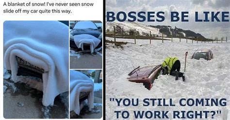 20+ Snow Memes For Everyone Longing For a Snow Day - Memebase - Funny Memes