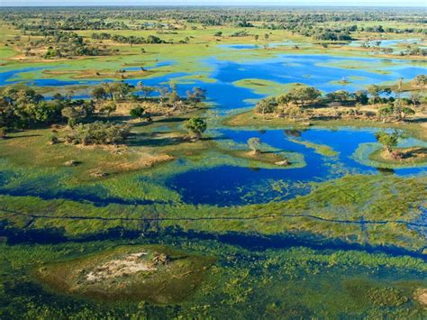 Okavango Delta, Botswana - Our Planet