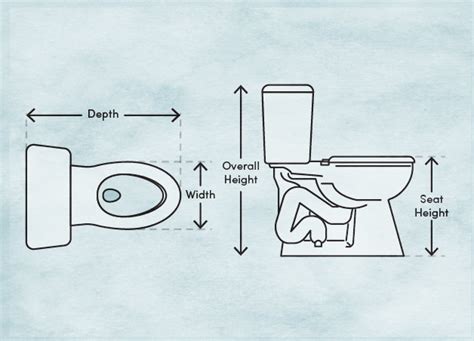 Toilet Dimensions & Measurements to Know - Wayfair Canada