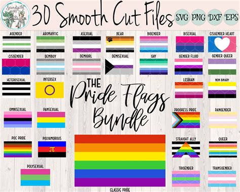 The Pride Flags Bundle 30 Designs SVG PNG Digital Cut - Etsy