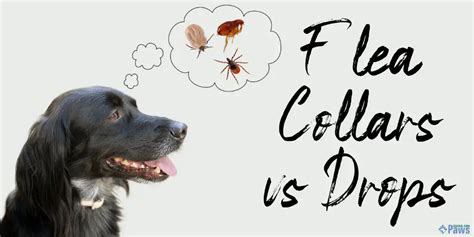 Flea Collars Vs Topical Drops - Which Is Better & Safer?