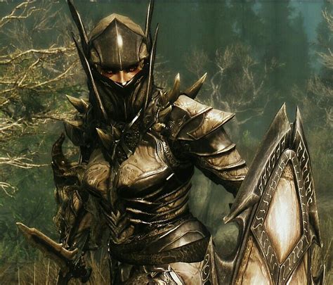 Dragon Knight Armor