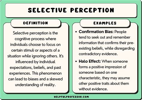 15 Selective Perception Examples (2024)