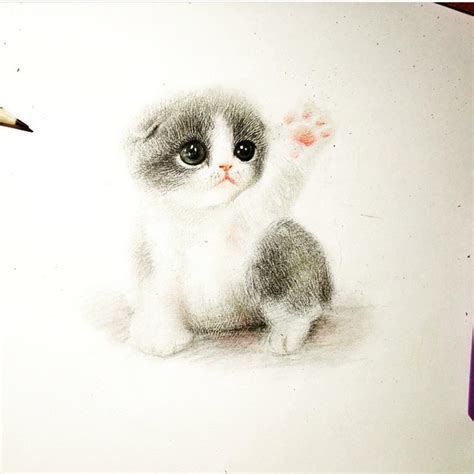 Kitten Pencil Drawing at GetDrawings | Free download