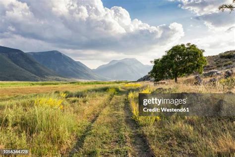 30 Lake Stymphalia Stock Photos, High-Res Pictures, and Images - Getty ...