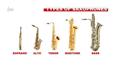 Saxophone Types: 4 Common Types & Other Sax Family Members - Orchestra ...