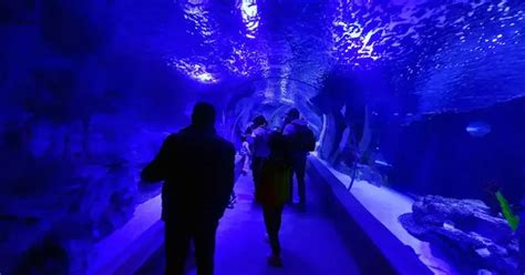 Emaar Aquarium and Underwater Zoo Entry | istanbul.com